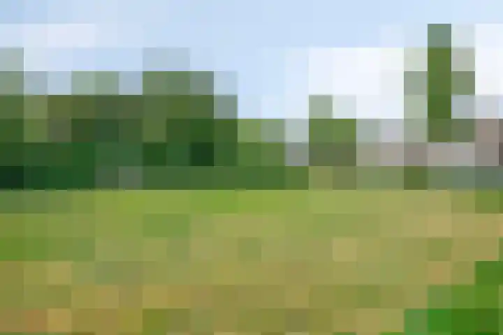 Kazemat 8 Veldhoven thumbnail 34