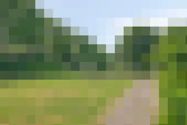 Kazemat 8 Veldhoven thumbnail 35