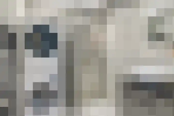 Kazemat 8 Veldhoven thumbnail 5