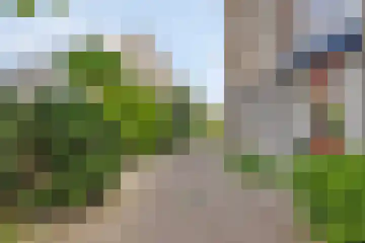 Kazemat 8 Veldhoven thumbnail 8
