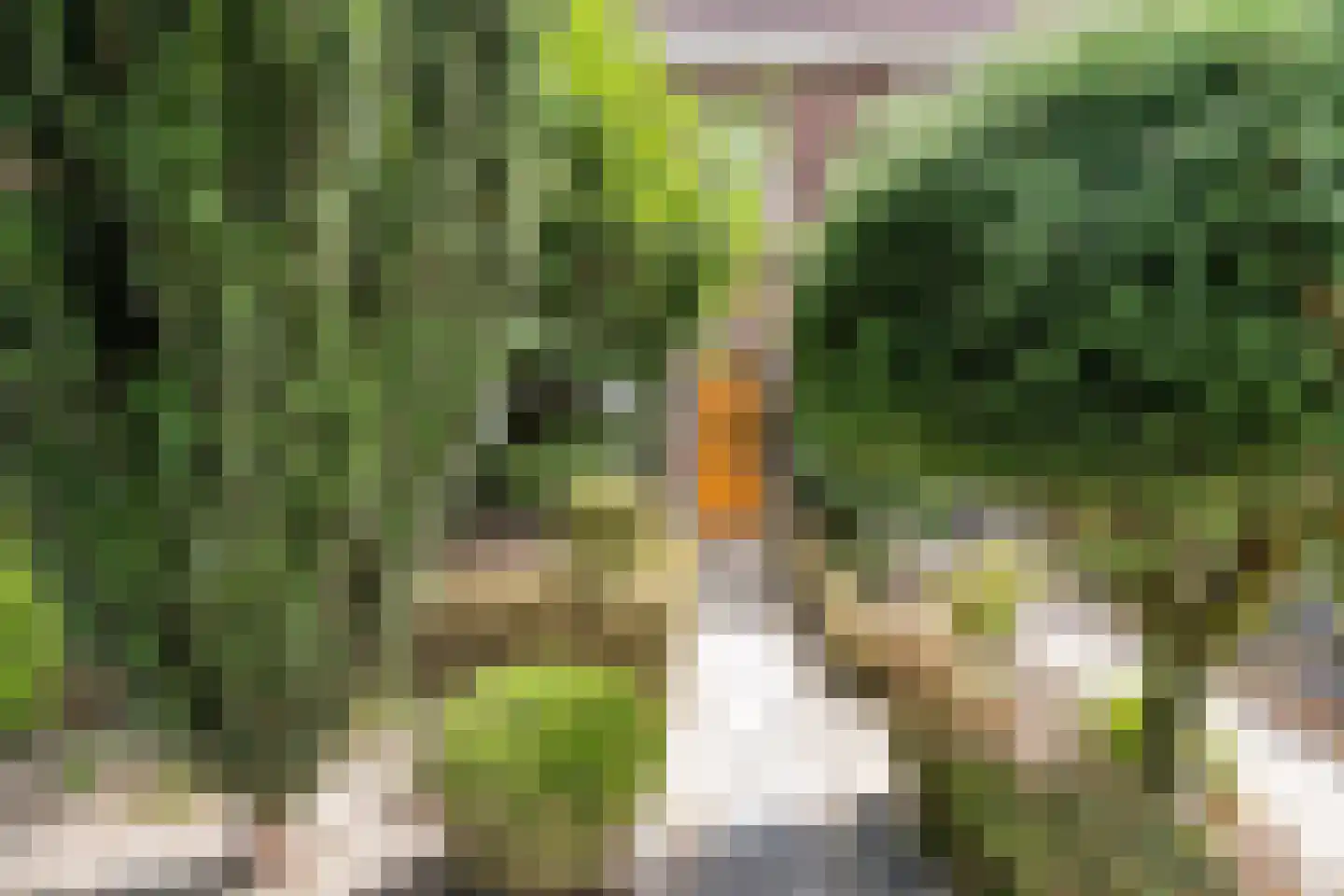 Kazernelaan 11 Weert thumbnail 46
