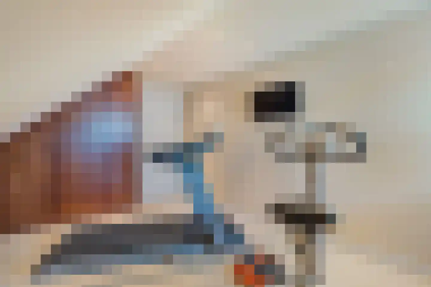 Kazernelaan 146 Weert thumbnail 28