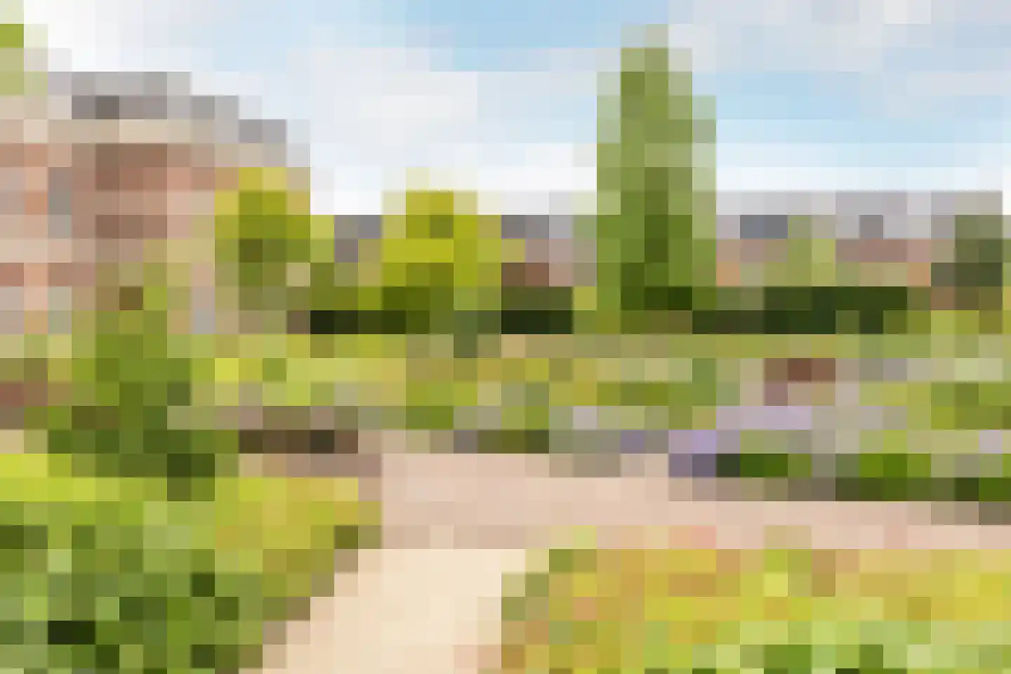 Kazerneplein 26 Haarlem thumbnail 31