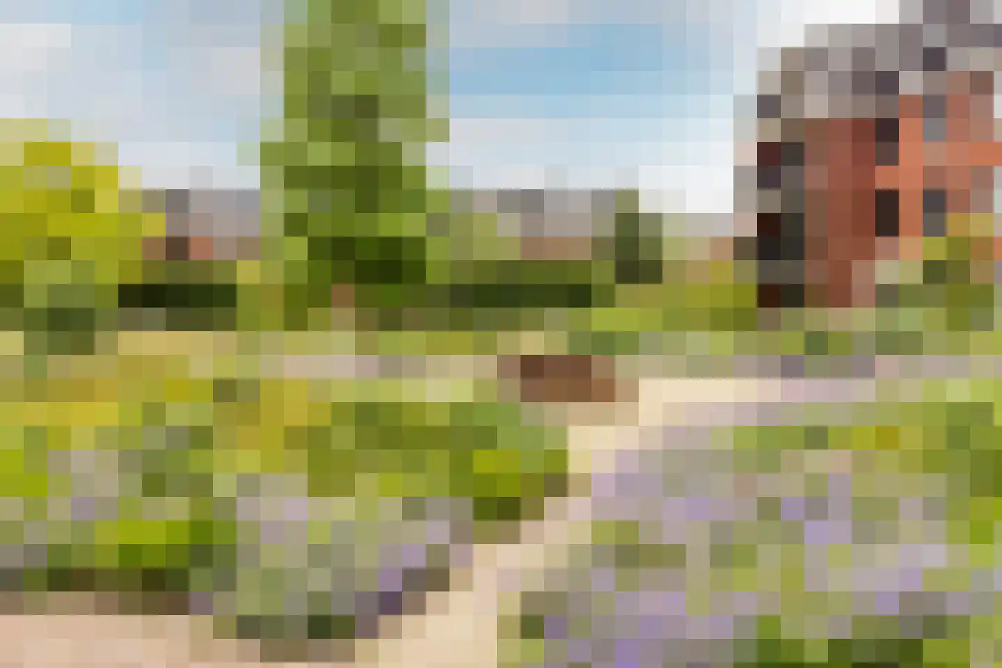 Kazerneplein 26 Haarlem thumbnail 32