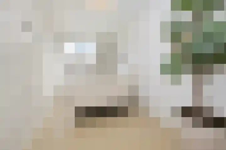 Kazerneplein 49 Haarlem thumbnail 48