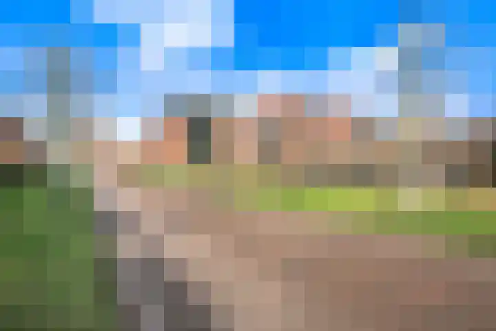 Kazerneplein 49 Haarlem thumbnail 6