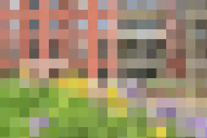 Kazerneplein 49 Haarlem thumbnail 7