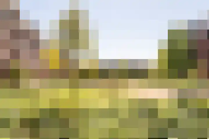 Kazerneplein 50 Haarlem thumbnail 32