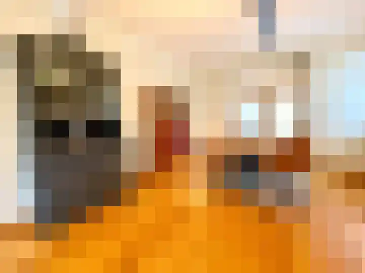 Kazernestraat 5 Stevensweert thumbnail 8