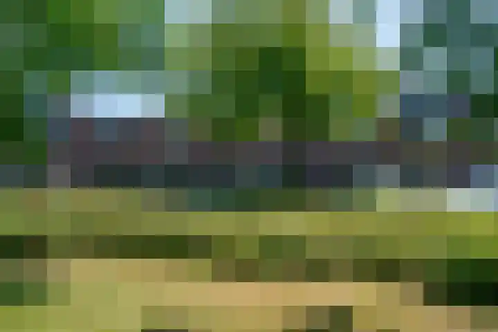 Kea Boumanland 32 Heerhugowaard thumbnail 4