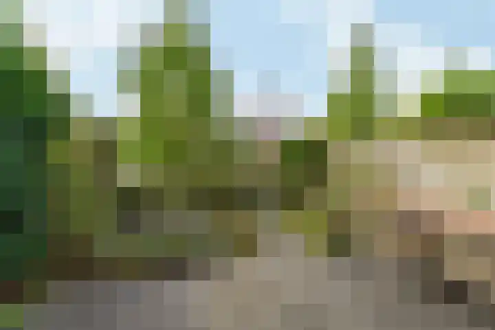 Kea Boumanstraat 34 Arnhem thumbnail 8