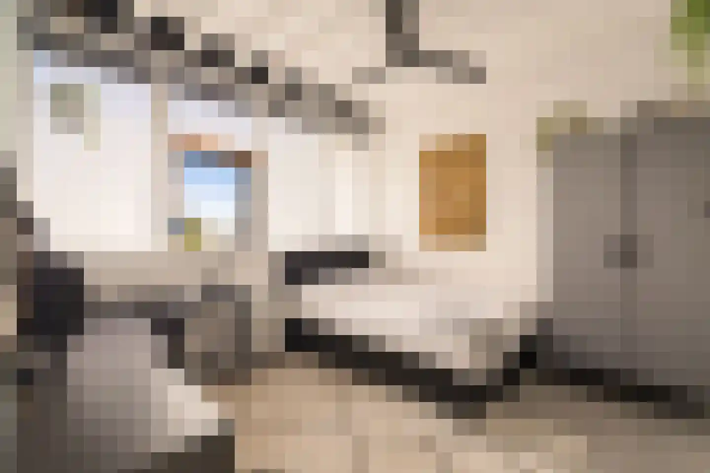 Kea Boumanstraat 74 Amsterdam thumbnail 19