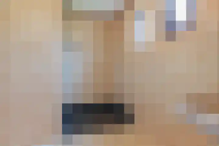 Keamerlânswei 2 Harich thumbnail 17
