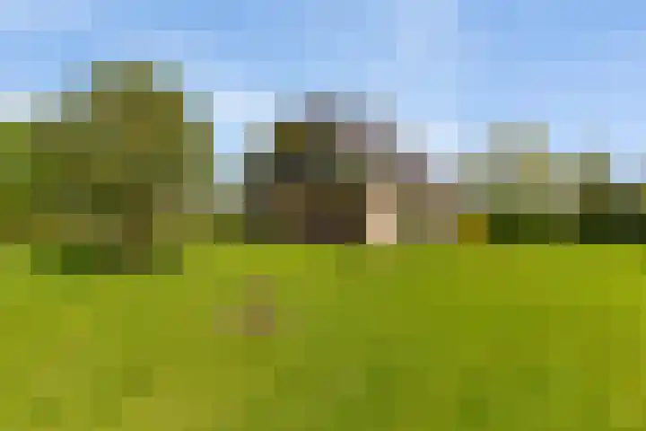 Keamerlânswei 2 Harich foto 2