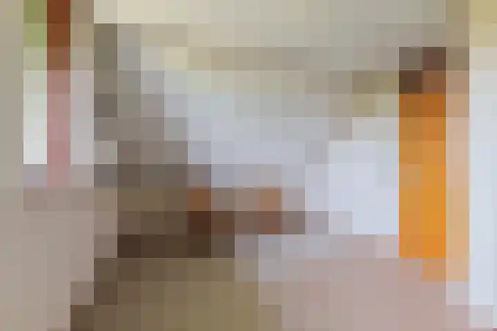 Keamerlânswei 2 Harich thumbnail 26