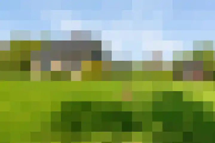 Keamerlânswei 2 Harich foto 3