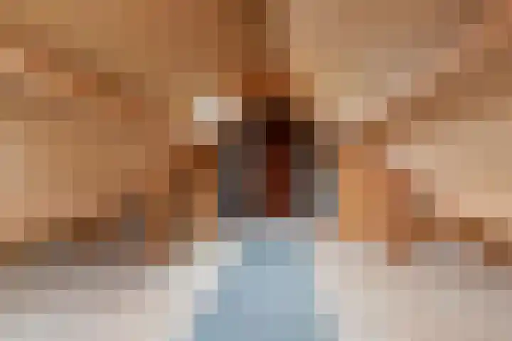 Keamerlânswei 2 Harich thumbnail 30