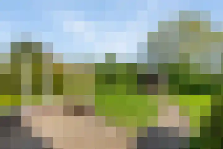 Keamerlânswei 2 Harich thumbnail 32