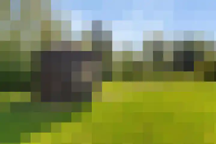 Keamerlânswei 2 Harich thumbnail 33