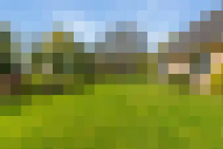 Keamerlânswei 2 Harich thumbnail 35