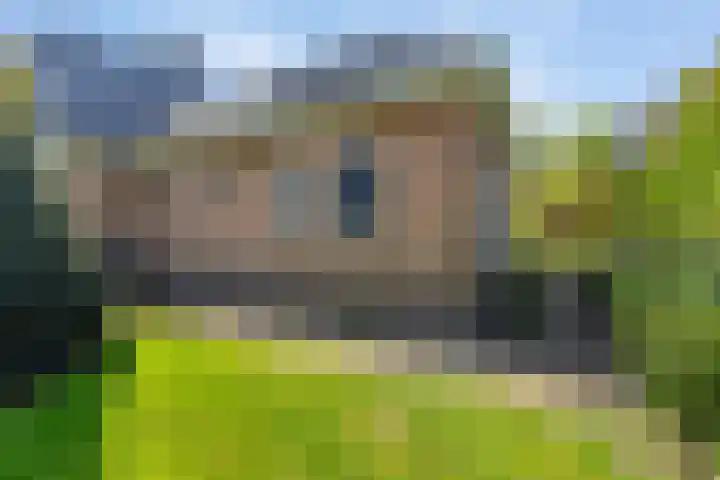 Keamerlânswei 2 Harich thumbnail 36
