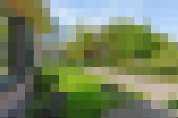 Keamerlânswei 2 Harich thumbnail 38