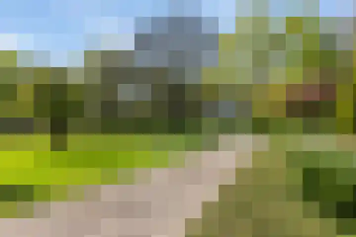 Keamerlânswei 2 Harich thumbnail 39