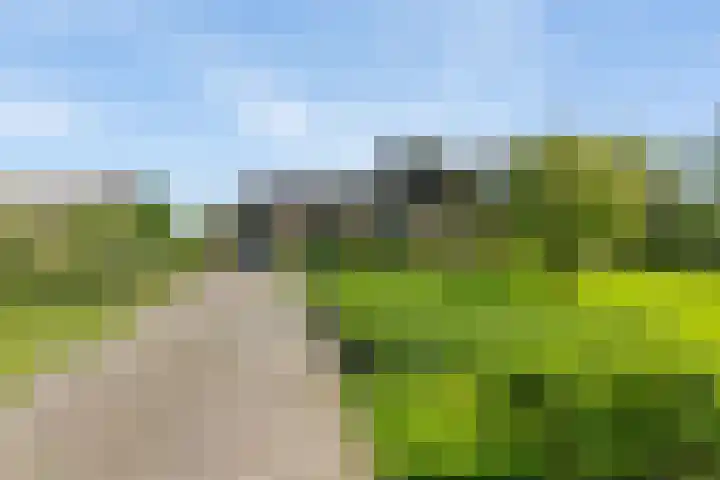 Keamerlânswei 2 Harich thumbnail 40