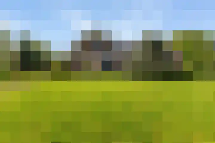 Keamerlânswei 2 Harich thumbnail 41