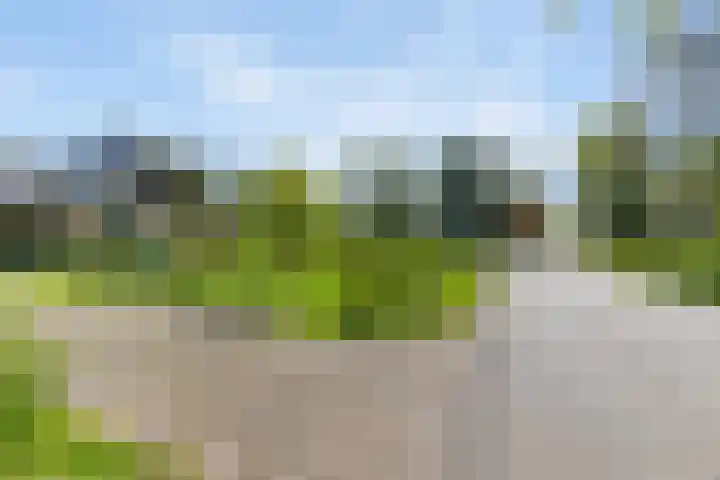 Keamerlânswei 2 Harich thumbnail 42