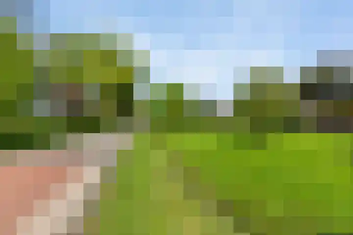 Keamerlânswei 2 Harich thumbnail 43
