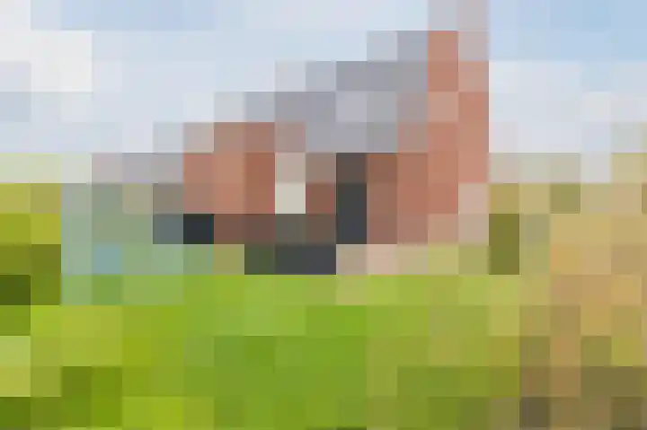 Keardok 16 Wergea thumbnail 52