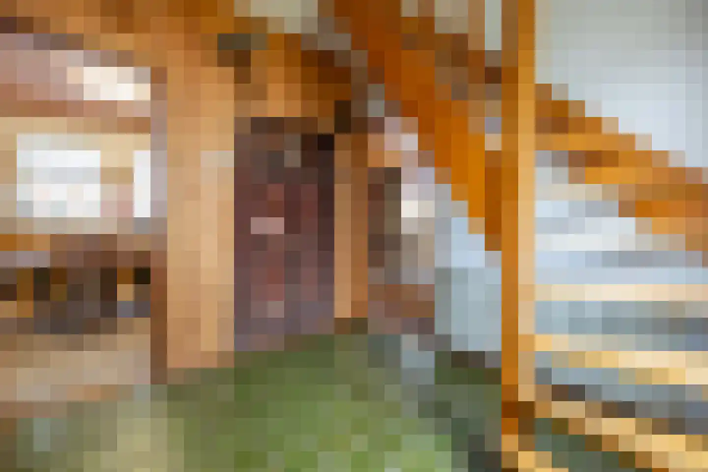 Keatsbuorren 11 Nes thumbnail 19