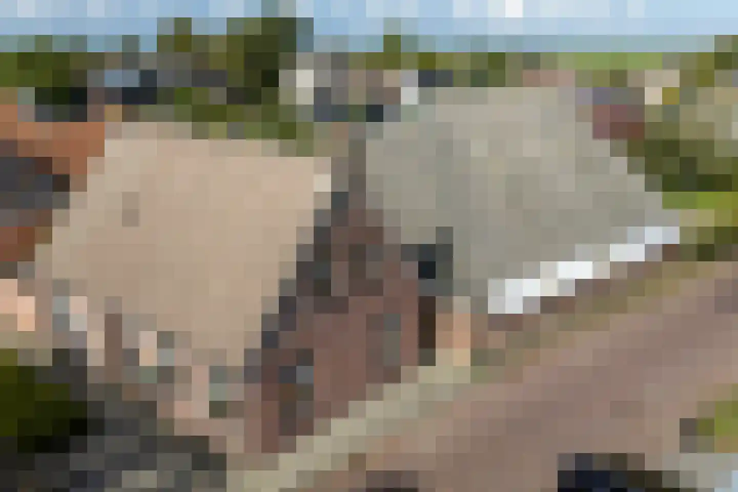Keatsbuorren 11 Nes thumbnail 56