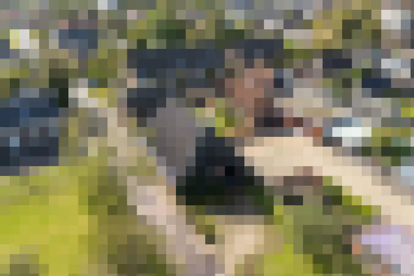 Keatsbuorren 11 Nes thumbnail 62