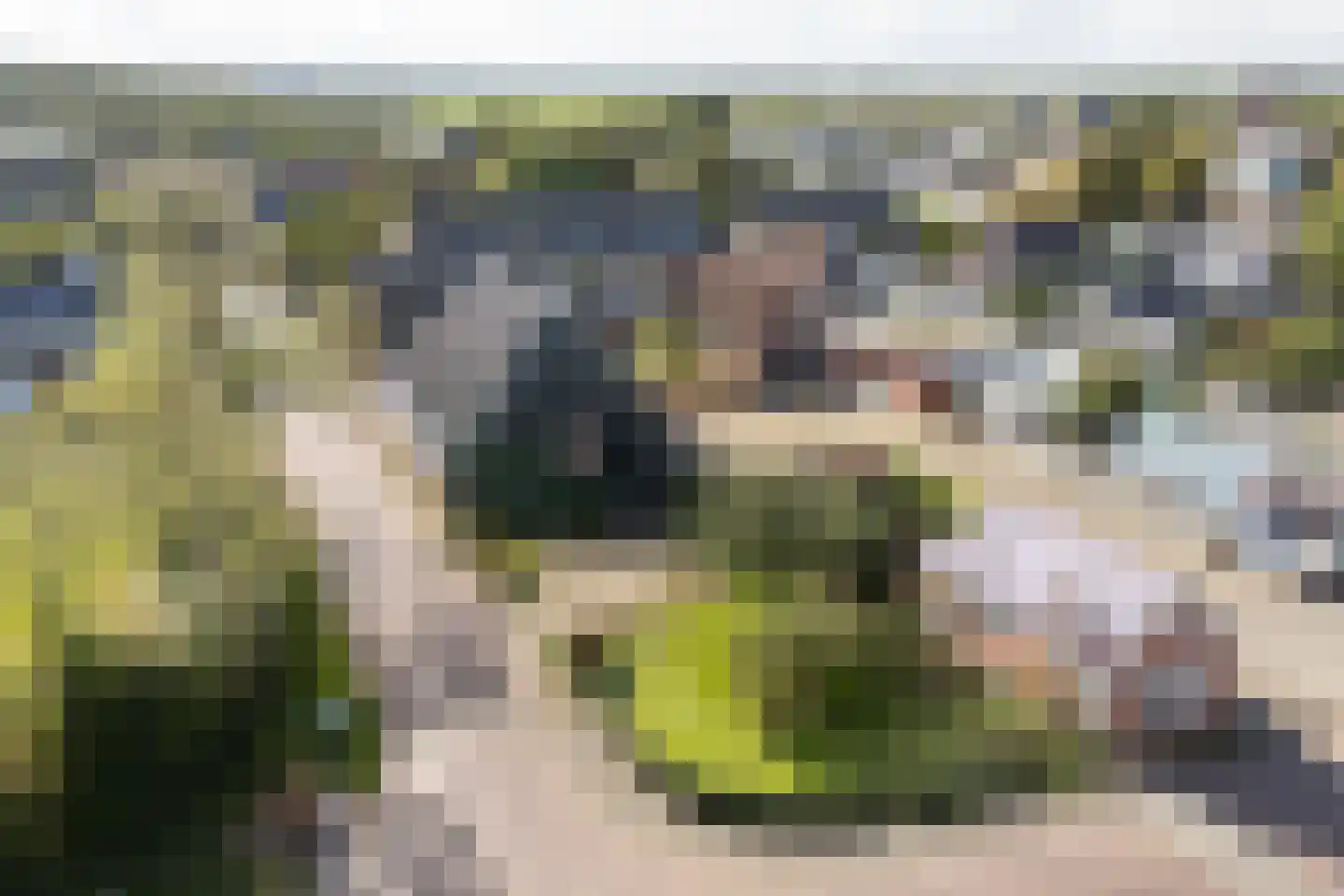 Keatsbuorren 11 Nes thumbnail 65