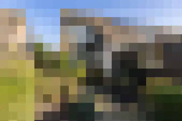 Keatsbuorren 6 Nes