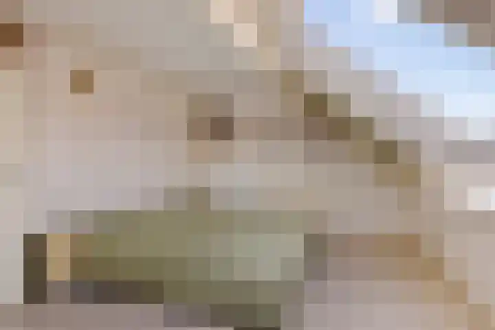 Keatsbuorren 6 Nes thumbnail 18