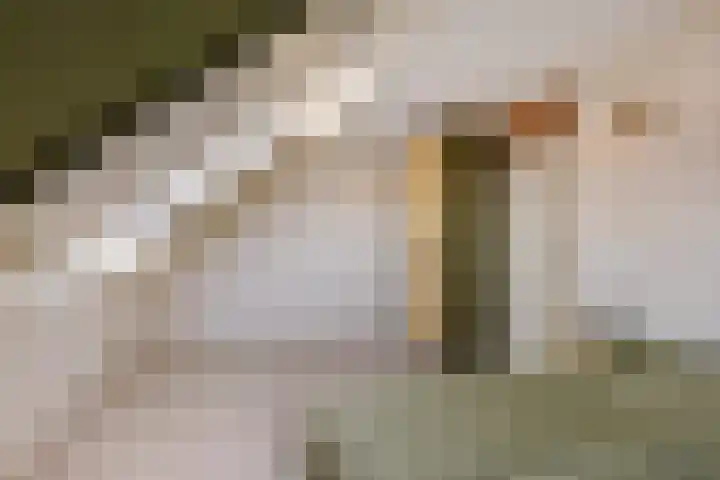 Keatsbuorren 6 Nes thumbnail 19