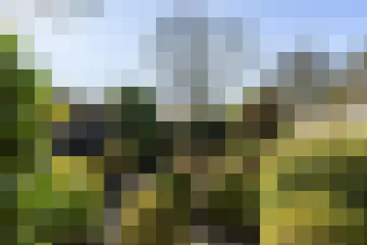 Keatsbuorren 6 Nes foto 2