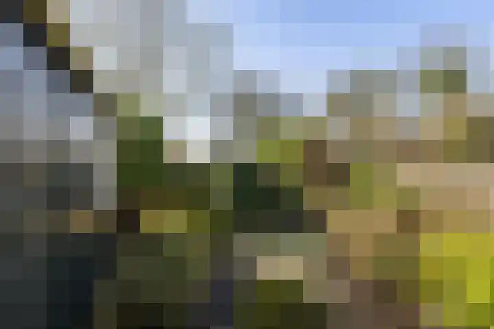 Keatsbuorren 6 Nes thumbnail 26