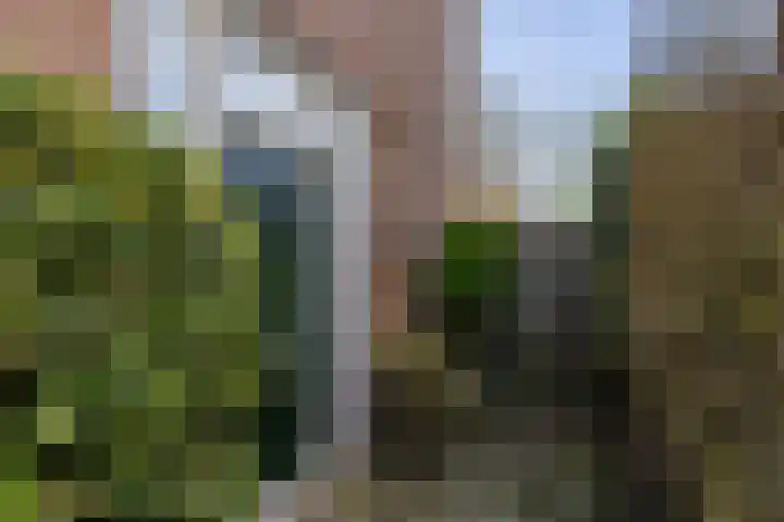 Keatsbuorren 6 Nes thumbnail 5