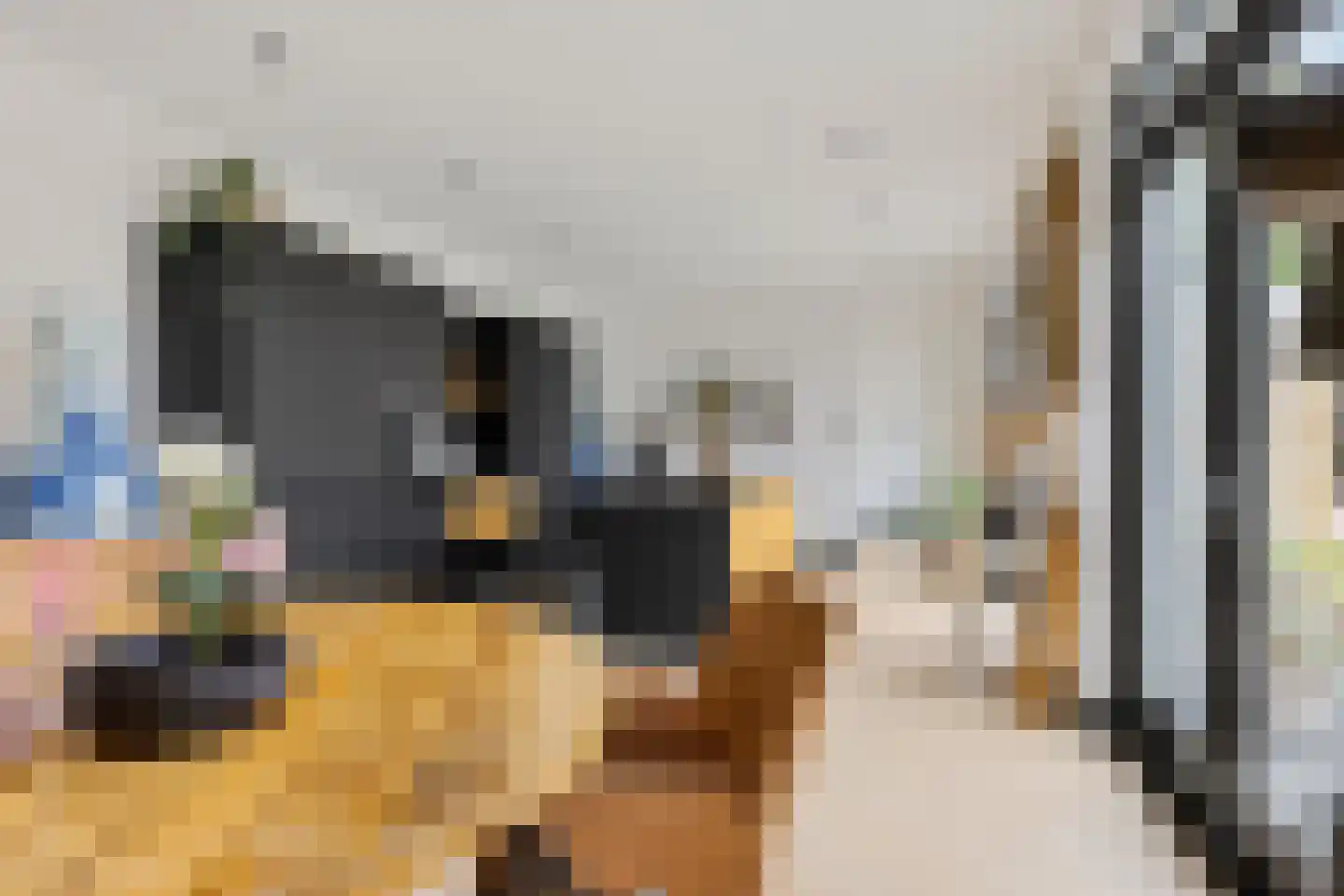 Keatsebuorren 13 Oosterbierum thumbnail 11