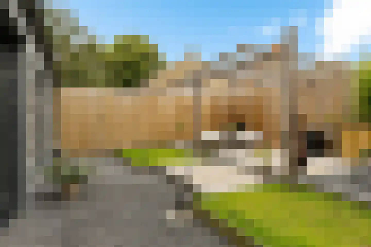 Keatsebuorren 13 Oosterbierum thumbnail 20