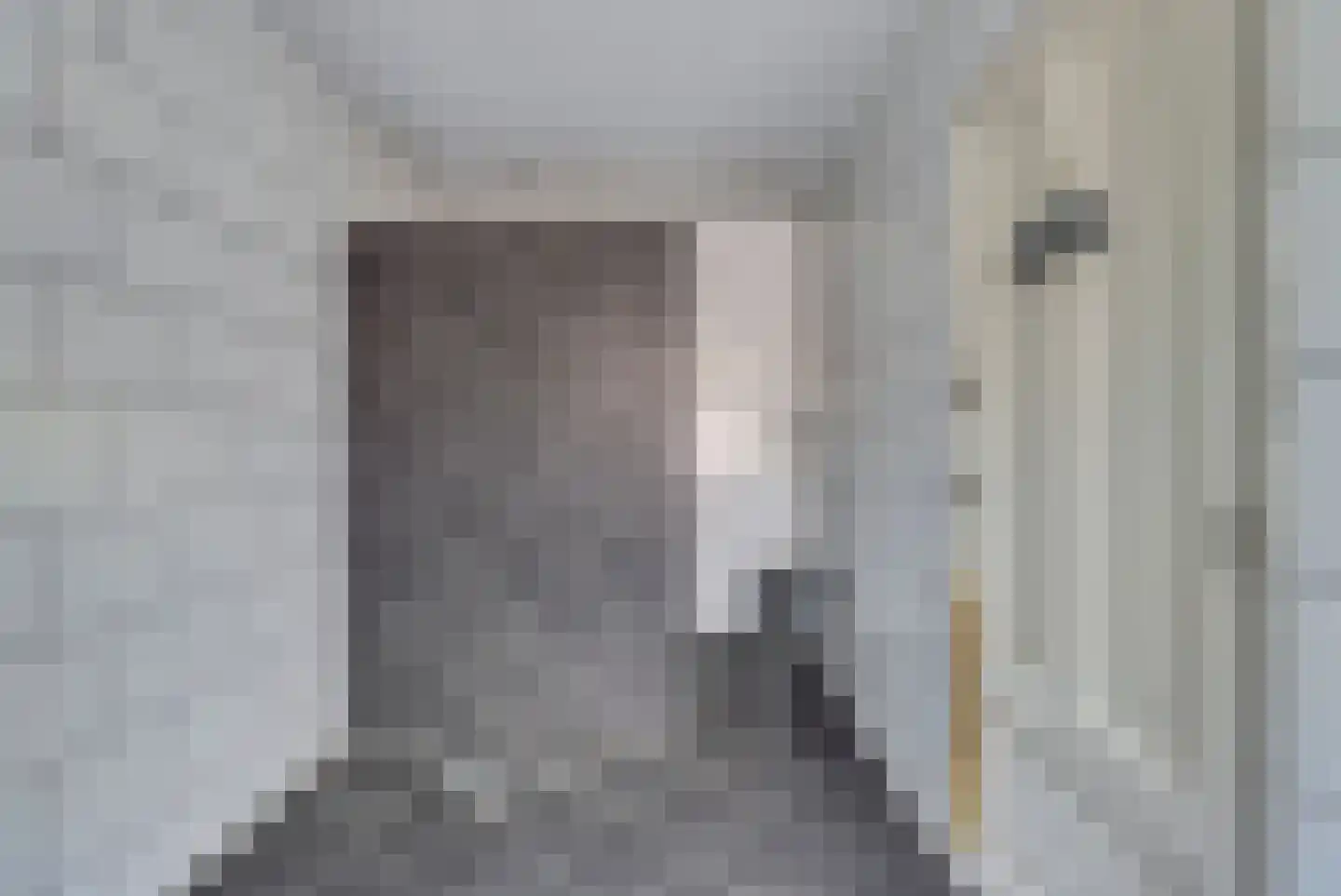 Keatsebuorren 5 Oosterbierum thumbnail 25