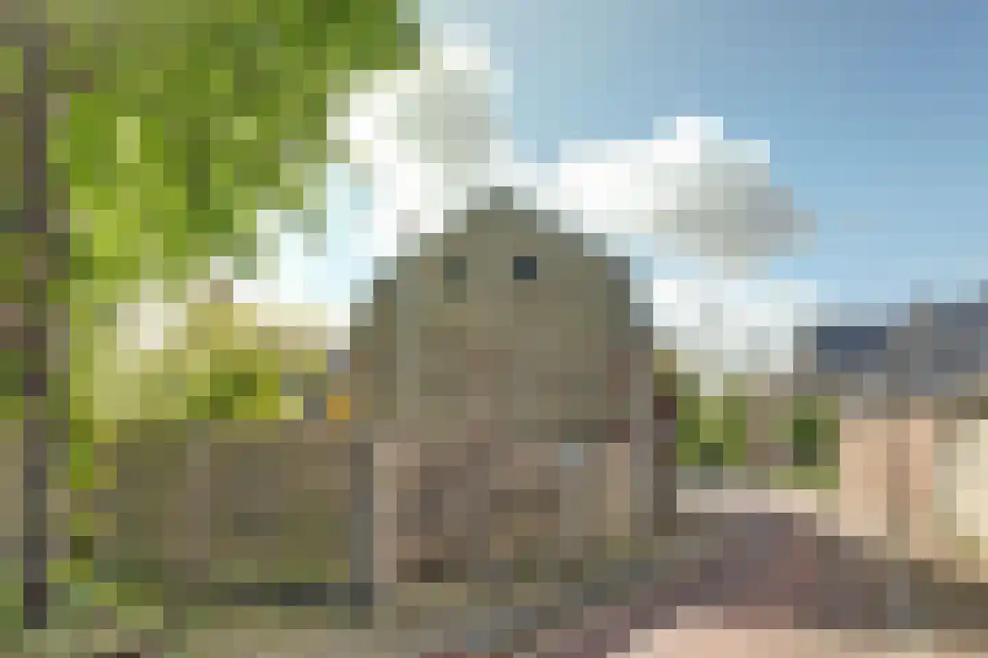 Keatsebuorren 5 Oosterbierum thumbnail 33