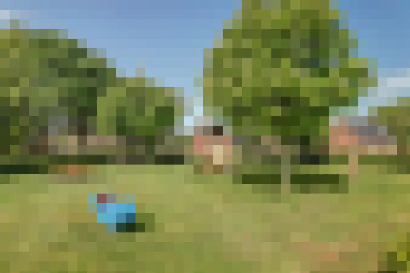 Keatsebuorren 5 Oosterbierum thumbnail 38