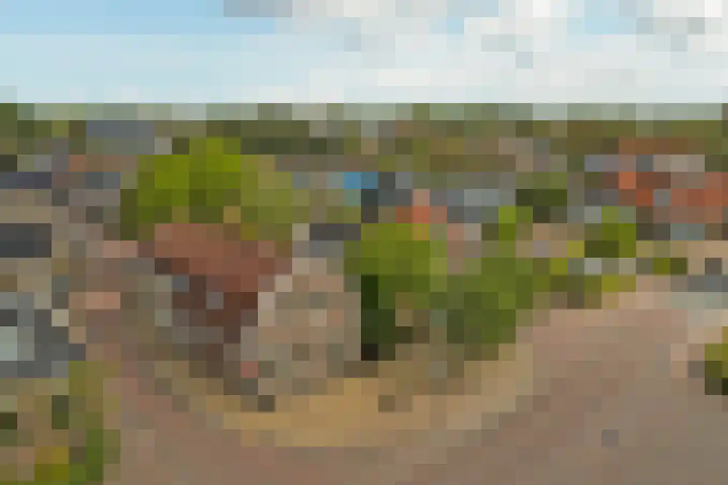 Keatsebuorren 5 Oosterbierum thumbnail 42