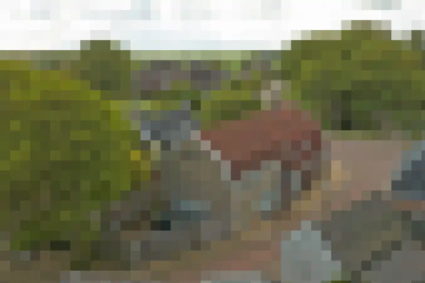Keatsebuorren 5 Oosterbierum thumbnail 44