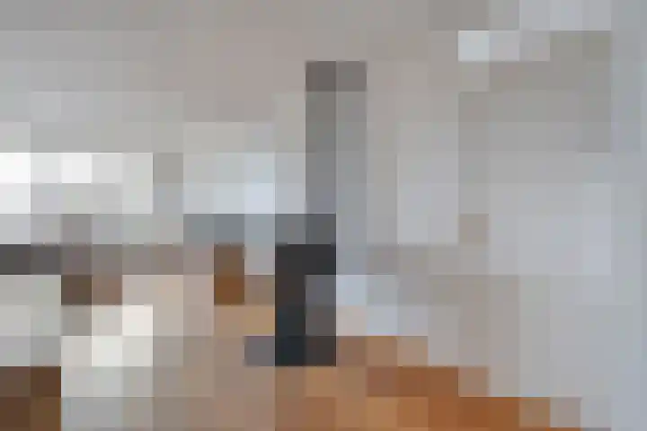 Kedingen 18 Wierden thumbnail 10